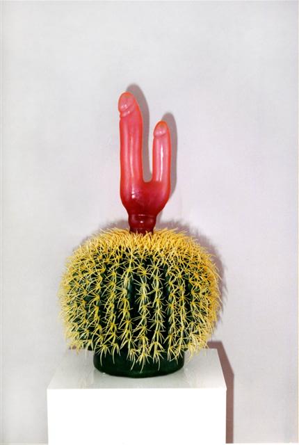 Kaktus, 1999